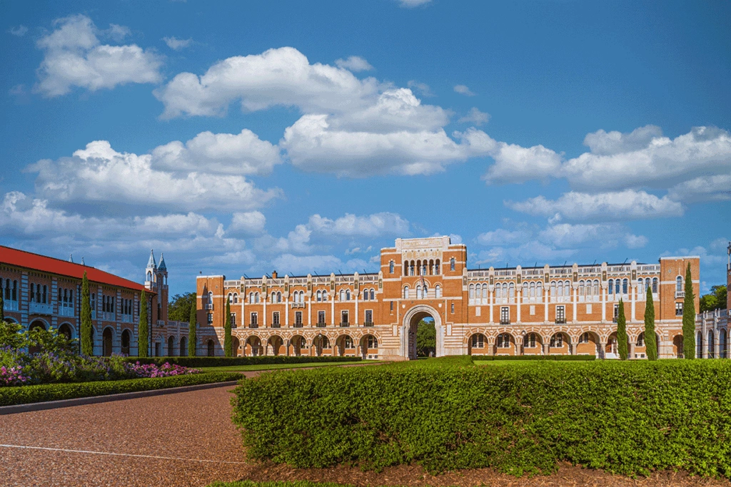 Rice University
